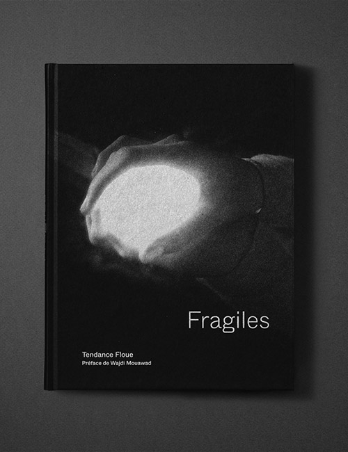 Agnes-Dahan-Studio-Fragiles