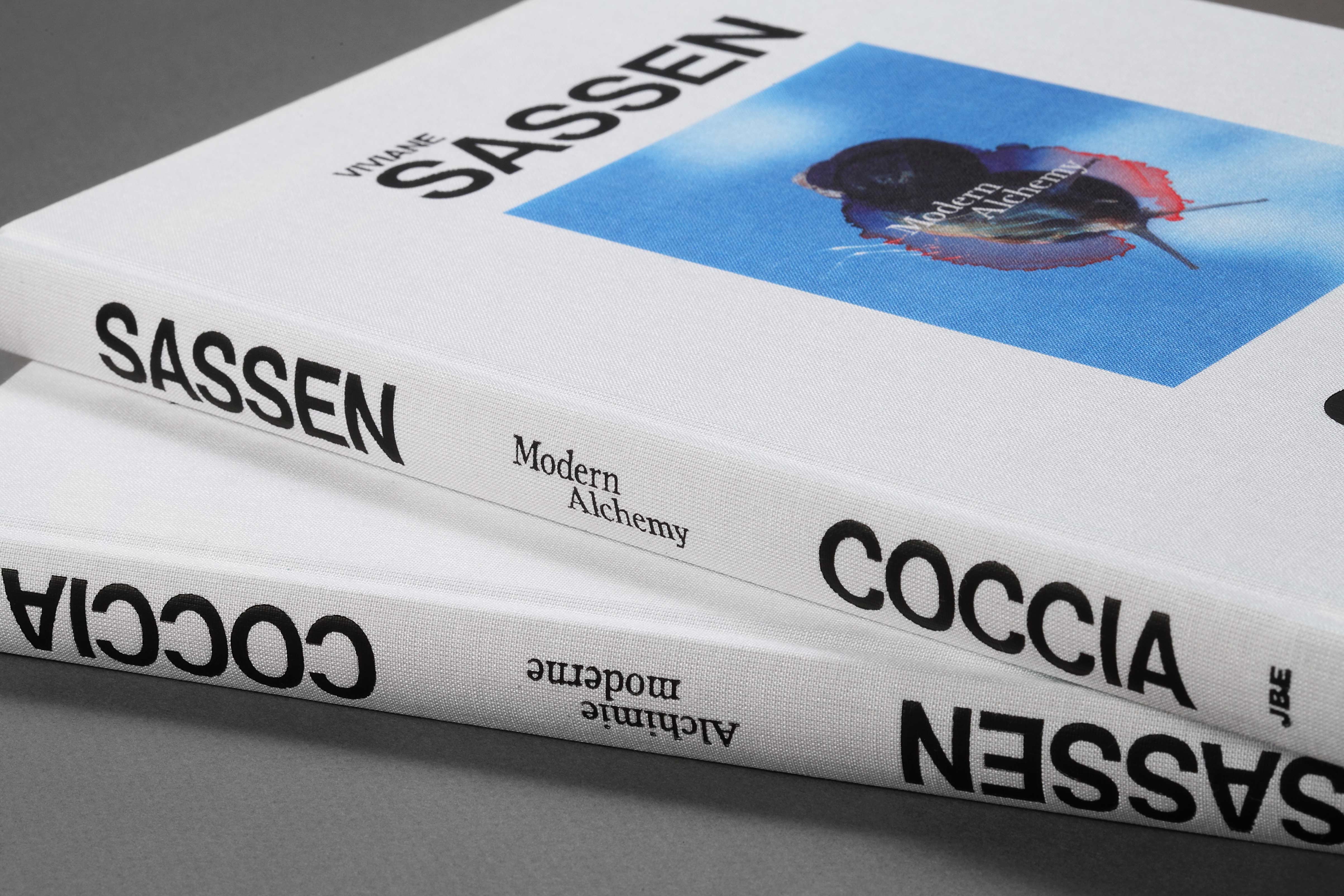 viviane sassen book